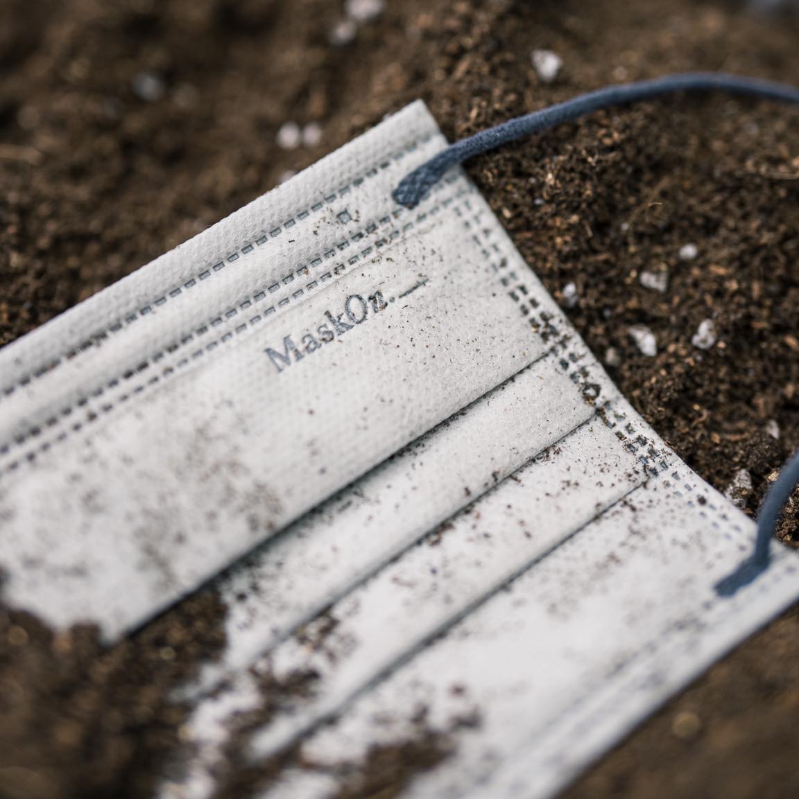 Biodegradable Mask