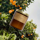 Neroli & Eucalyptus Soy Candle