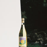 有機純素Chardonnay白葡萄酒 2021