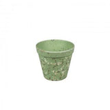 Jungle Fever S Pot