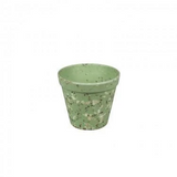 Jungle Fever S Pot
