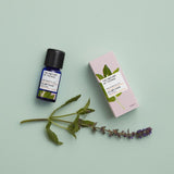 Sage (Clary) Essential Oil 12ml