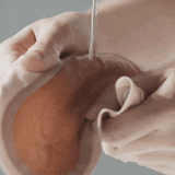好好棉 可重用衛生棉 - 24cm