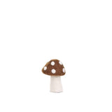 Muskhane Dotty mushrooms - mangrove