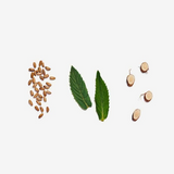 清肝茶 − 有機茶茶包20個