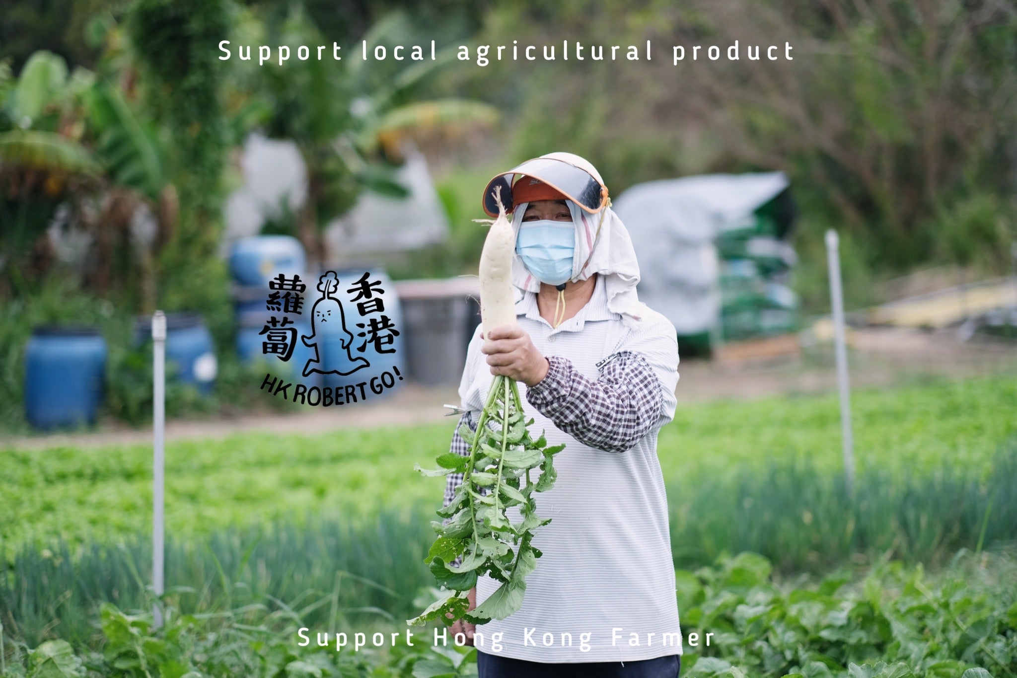 #支持本地農產品 香港蘿蔔預購中！