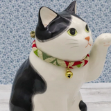 My Lucky Cat - Buchi