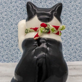 My Lucky Cat - Buchi