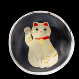 Small Glass Manekineko Plate - Brown Tiger