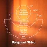 Bergamot Shiso Incense Cones