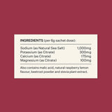 Hydrate⁴ Electrolytes - Raspberry Lemonade Salt