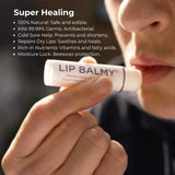 Lip Balmy Moisturising Lip Balm