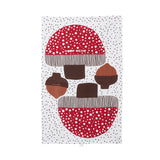 Myo Mushroom Tea Towel Craft Kit