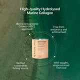 Marine Collagen Beauty Powder - Vanilla