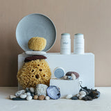 Coastal Waters Natural Deodorant