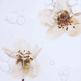 Organic Pear Blossom Essence Toner 160ml