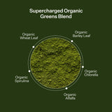 Protein & Organic Greens + Probiotics