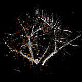 柔和香料室內芳香噴霧