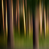 森林之境浴室芳香噴霧