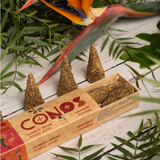 Incense Cones Calendula & Rosemary