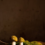 Dotty Mushroom - Pistachio