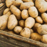 Potato Chips - Unsalted