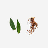 甘草薄荷茶 − 有機茶茶包20個