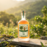 TinShing Umeshu Classic【Ume Plucking Special Edition】500ml