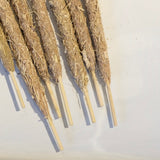 VAI006 Vetiver Roots Smudge Incense Stick (Sold Per Pcs)