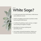 White Sage Hand-Rolled Incense Stick