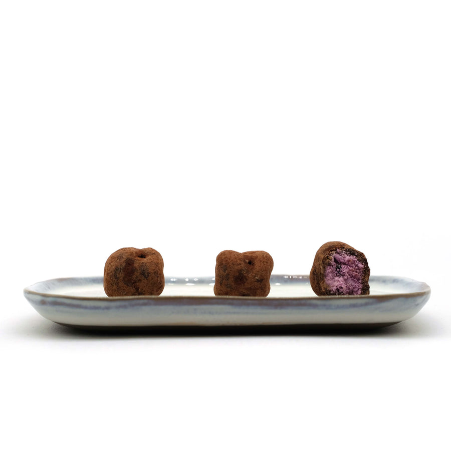 CH32 - Vegan Dark Chocolate covered Freeze-Dried Blueberries Yogurt (Sold Per 10G)