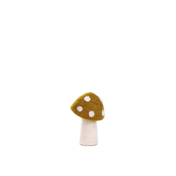Muskhane Dotty mushrooms - pollen