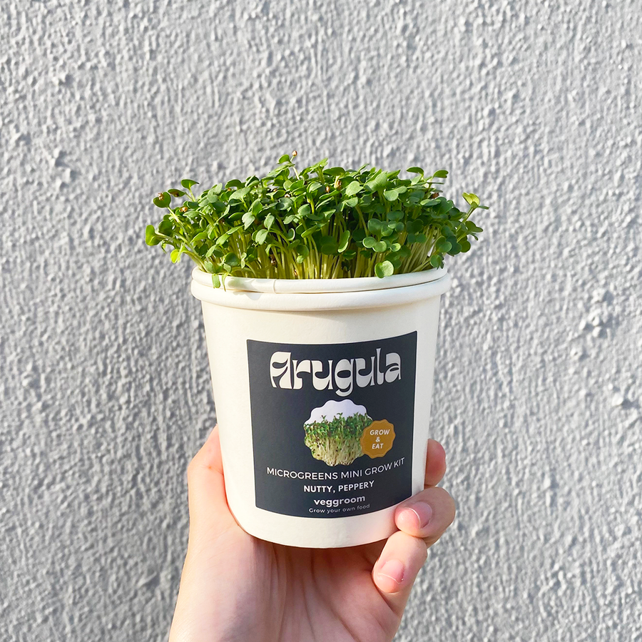 Microgreens Grow Cup Radish