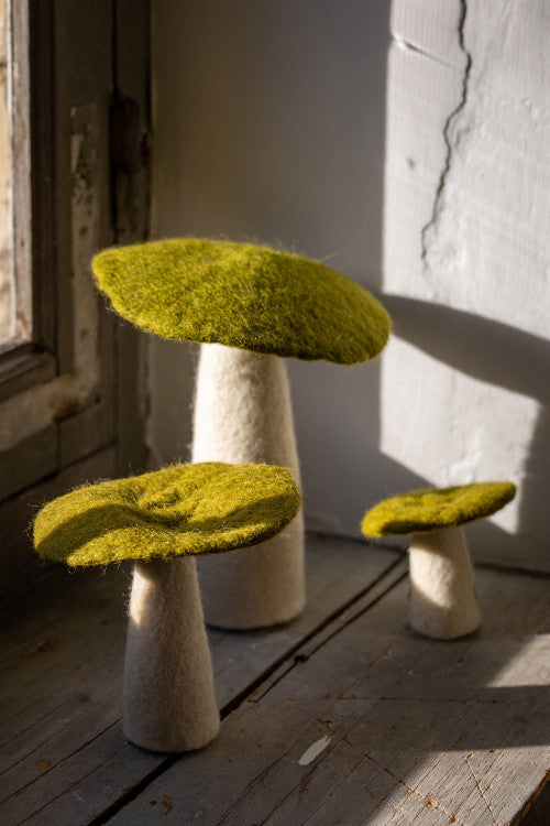 Mushrooms - Pollen XL