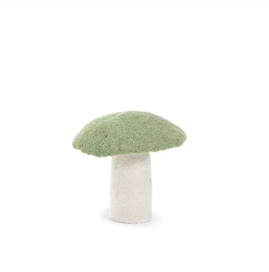 Muskhane mushrooms - Tender Green S