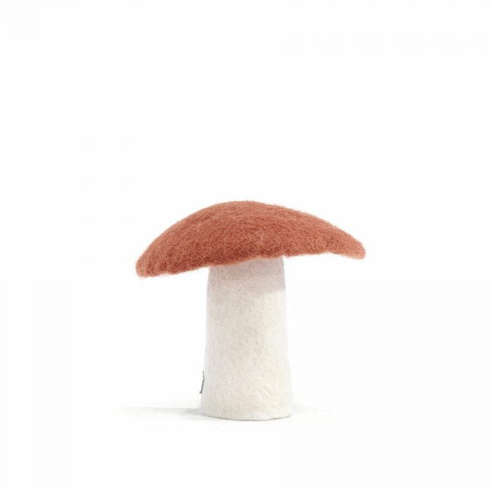 Muskhane mushrooms - Coral L